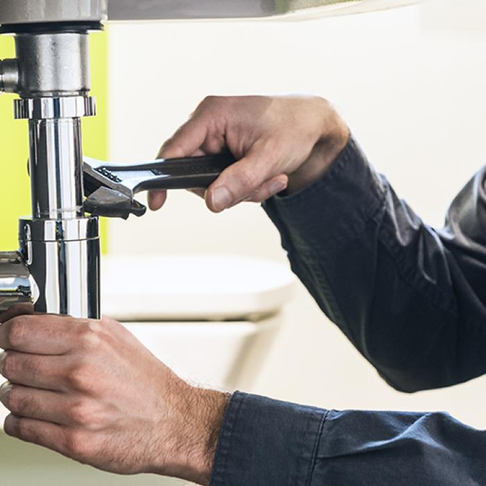 Druid offers maintenance and small-scale development services